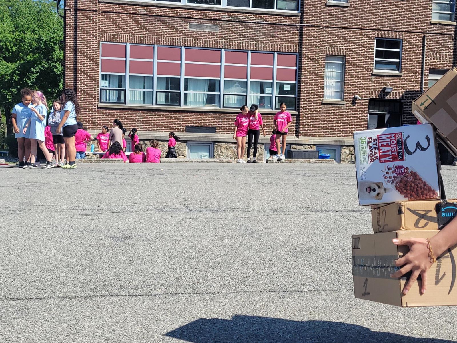 students participating in field day activities